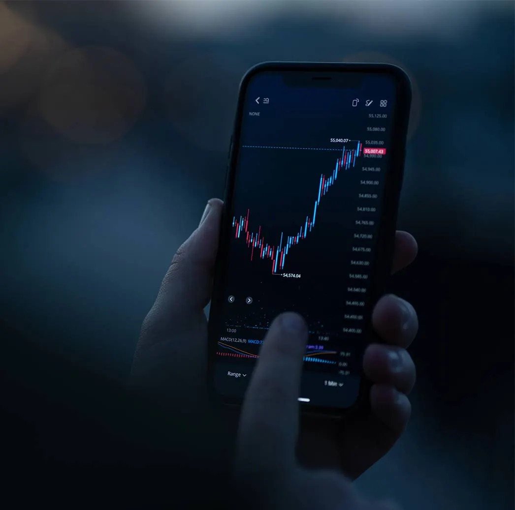 Capital Market & Financial services